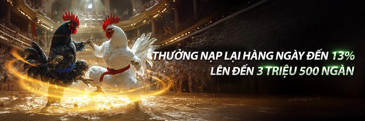 Tin tức 90ok đá gà 2026